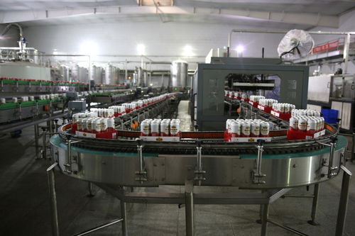 餐桌上的食品安全無(wú)小事,走進(jìn)沈陽(yáng)綠色工廠,探訪神秘生產(chǎn)線